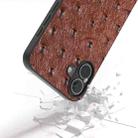 For iPhone 16 Plus ABEEL Genuine Leather Ostrich Texture Phone Case(Coffee) - 3