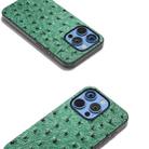 For iPhone 16 Pro ABEEL Genuine Leather Ostrich Texture Phone Case(Green) - 3