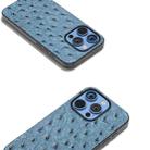 For iPhone 16 Pro ABEEL Genuine Leather Ostrich Texture Phone Case(Blue) - 3