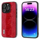 For iPhone 15 Pro Max ABEEL Genuine Leather Weilai Series Phone Case(Red) - 1