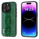 For iPhone 14 Pro Max ABEEL Genuine Leather Weilai Series Phone Case(Green) - 1