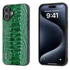 For iPhone 16 ABEEL Genuine Leather Weilai Series Phone Case(Green) - 1