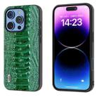 For iPhone 16 Pro Max ABEEL Genuine Leather Weilai Series Phone Case(Green) - 1