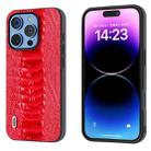 For iPhone 16 Pro Max ABEEL Genuine Leather Weilai Series Phone Case(Red) - 1