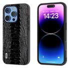 For iPhone 16 Pro Max ABEEL Genuine Leather Weilai Series Phone Case(Black) - 1