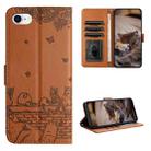 For iPhone 7 / 8 / SE 2020 / SE 2022 Cat Embossing Pattern Leather Phone Case with Lanyard(Brown) - 1