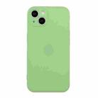 For iPhone 15 Straight Edge Solid Color TPU Shockproof Phone Case(Matcha Green) - 1