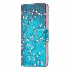 For iPhone 16 Pro Max Colored Drawing Pattern Leather Phone Case(Plum Blossom) - 3