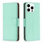 For iPhone 15 Pro Litchi Texture Pure Color Flip Leather Phone Case(Green) - 1