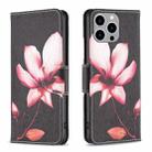 For iPhone 15 Pro Max Colored Drawing Pattern Flip Leather Phone Case(Lotus) - 1