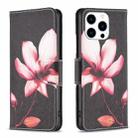 For iPhone 16 Pro Max Colored Drawing Pattern Flip Leather Phone Case(Lotus) - 1