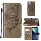 For iPhone 15 Pro Embossed Butterfly Leather Phone Case(Grey) - 1