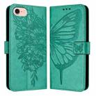 For iPhone SE 2024 Embossed Butterfly Leather Phone Case(Green) - 1