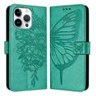 For iPhone 16 Pro Max Embossed Butterfly Leather Phone Case(Green) - 1