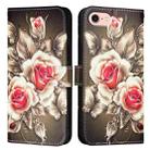 For iPhone SE 2024 Colored Drawing Pattern Plain Weave Leather Phone Case(Roses On Black) - 1