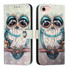 For iPhone SE 2024 3D Painting Horizontal Flip Leather Phone Case(Grey Owl) - 1