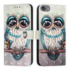 For iPod Touch 7 / 6 / 5 3D Painting Horizontal Flip Leather Phone Case(Grey Owl) - 2