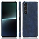For Sony Xperia 1 V Litchi Texture Back Cover Phone Case(Blue) - 1