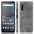 For Sony Xperia 10 Ⅴ Litchi Texture Back Cover Phone Case(Grey) - 1