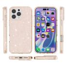 For iPhone 16 Pro Max Shockproof Terminator Glitter Powder Phone Case(Gold) - 2