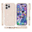 For iPhone 16 Pro Shockproof Terminator Glitter Powder Phone Case(Gold) - 2