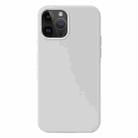 For iPhone 15 Pro Max Liquid Silicone Phone Case(White) - 1