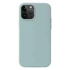 For iPhone 15 Pro Max Liquid Silicone Phone Case(Emerald Green) - 1