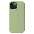 For iPhone 15 Pro Max Liquid Silicone Phone Case(Matcha Green) - 1