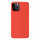 For iPhone 15 Pro Max Liquid Silicone Phone Case(Coral Red) - 1