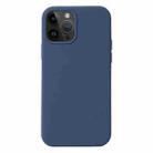 For iPhone 15 Pro Max Liquid Silicone Phone Case(Blue) - 1