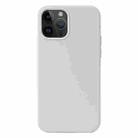 For iPhone 15 Pro Liquid Silicone Phone Case(White) - 1