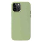 For iPhone 15 Pro Liquid Silicone Phone Case(Matcha Green) - 1