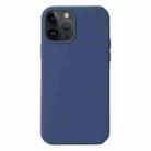 For iPhone 15 Pro Liquid Silicone Phone Case(Blue) - 1