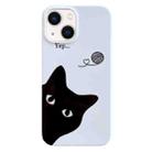 For iPhone 14 Painted Pattern PC Phone Case(Black Cat) - 1