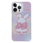 For iPhone 14 Pro Max Painted Pattern PC Phone Case(Pink Bowknot Bunny) - 1