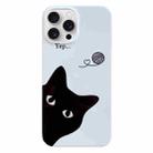 For iPhone 15 Pro Max Painted Pattern PC Phone Case(Black Cat) - 1