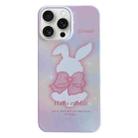 For iPhone 15 Pro Painted Pattern PC Phone Case(Pink Bowknot Bunny) - 1