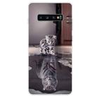 For Samsung Galaxy S10+ Coloured Drawing Pattern Highly Transparent TPU Protective Case(Cat Tiger) - 1