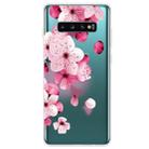 For Samsung Galaxy S10 5G Coloured Drawing Pattern Highly Transparent TPU Protective Case(Cherry Blossoms) - 1