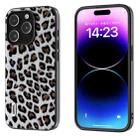 For iPhone 15 Pro Max ABEEL Black Edge Leopard Phone Case(Silver Leopard) - 1