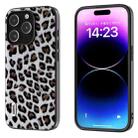 For iPhone 15 Pro ABEEL Black Edge Leopard Phone Case(Silver Leopard) - 1