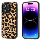 For iPhone 14 Pro ABEEL Black Edge Leopard Phone Case(Leopard Print) - 1