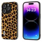 For iPhone 14 Pro ABEEL Black Edge Leopard Phone Case(Golden Leopard) - 1