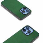 For iPhone 16 Pro Max ABEEL Black Edge Genuine Leather Mino Phone Case(Green) - 3