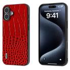 For iPhone 16 Plus ABEEL Genuine Leather Crocodile Pattern Black Edge Phone Case(Red) - 1