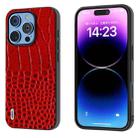 For iPhone 16 Pro Max ABEEL Genuine Leather Crocodile Pattern Black Edge Phone Case(Red) - 1