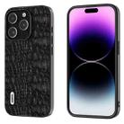 For iPhone 15 Pro ABEEL Genuine Leather Canopy Black Edge Phone Case(Black) - 1