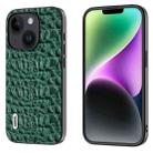 For iPhone 15 Plus ABEEL Genuine Leather Canopy Black Edge Phone Case(Green) - 1