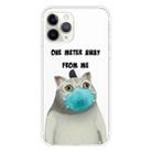 For iPhone 11 Pro Max Coloured Drawing Pattern Highly Transparent TPU Protective Case(Mask Cat) - 1