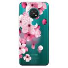 For Nokia 6.2 / 7.2 Coloured Drawing Pattern Highly Transparent TPU Protective Case(Cherry Blossoms) - 1